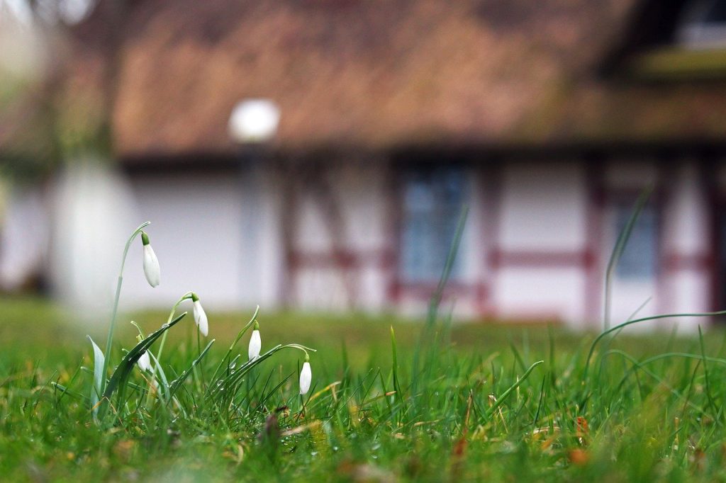 Zu den Gartenarbeiten im Februar zählt auf jeden Fall das "Aufräumen" nach dem Winter. Foto: KRiemer / Pixabay