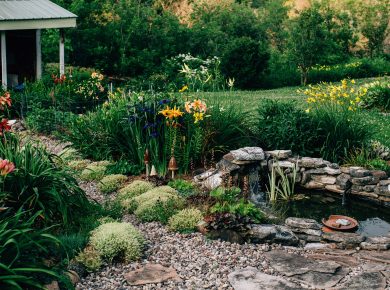 beautiful pond stone path and lily flower garden 2021 08 30 18 43 16 utc