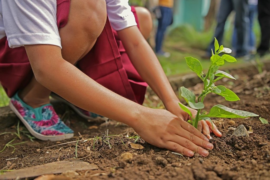 Urban Gardening - Gärtnern in der Gemeinschaft mach Spaß I Foto: artisano/Pixabay