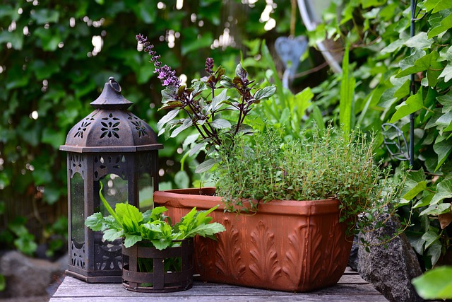 Urban Gardening -  Auch Balkone können herrlich bepflanzt werden 