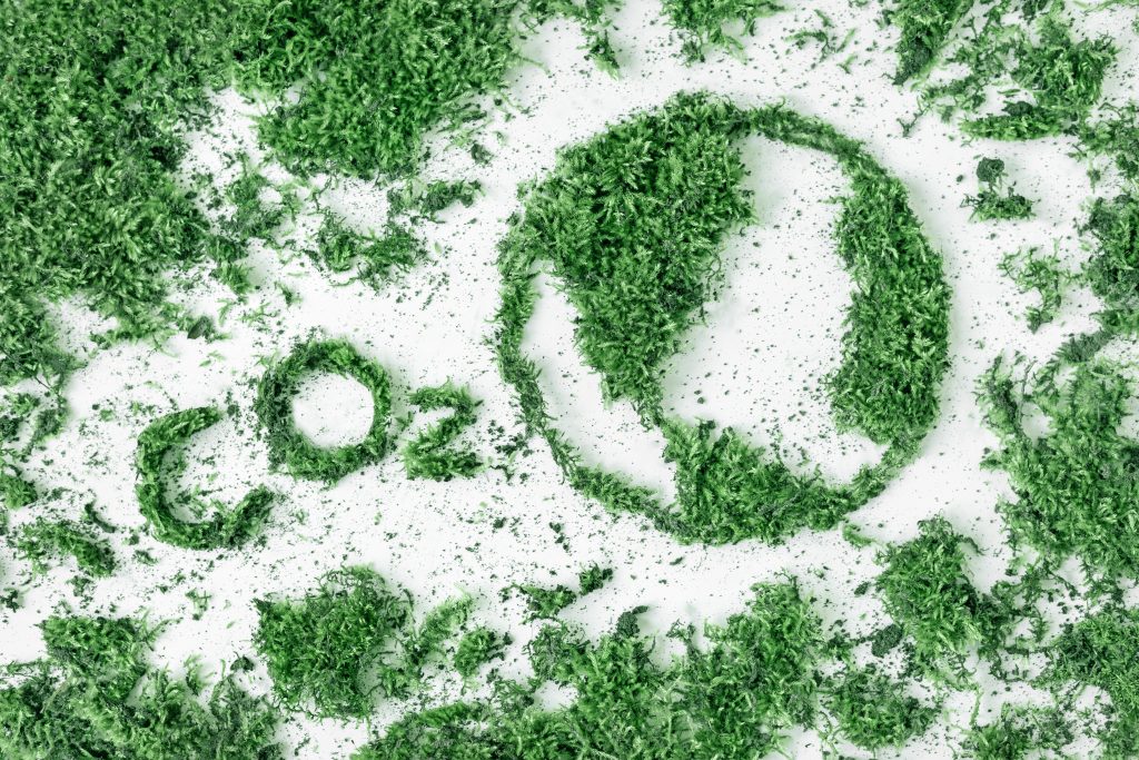 Gesetzentwurf zu CO2-Preis soll künftig Mieter:innen entlasten 3 co2 preis pro tonne emission