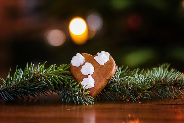 Für selbstgemachte Adventskalender aus natürlichen Materialien eignen sich Tannenzweige hervorragend I Foto: Tobias_hauf/Pixabay