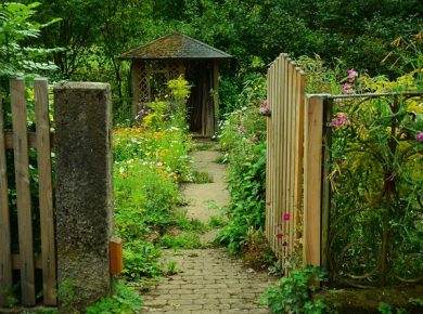 Der Bauerngarten – Nostalgie und jede Menge Vielfalt I Foto: congerdesign/Pixabay