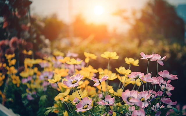 5 angesagte Gartentrends für 2025 I Foto: toodlingstudio/Pixabay