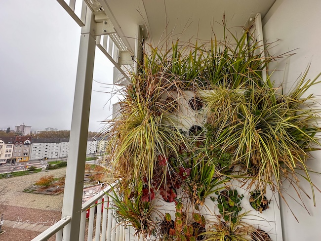 Urban Gardening kann mit vertikalen Gärten auch auf dem Balkon umgesetzt werden I Foto: HundeReisenMehr
